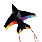 Jet Plane Rainbow Kite by Into the Wind