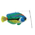 Peacock Wrasse Swimming 3D Fish
