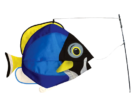 Powder Blue Surgeonfish Swimming 3D Fish