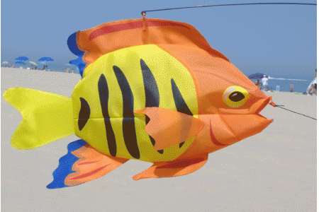 Flame Fish Swimming 3D Fish