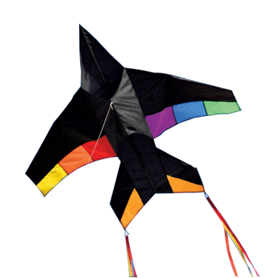 Jet Plane Rainbow Kite