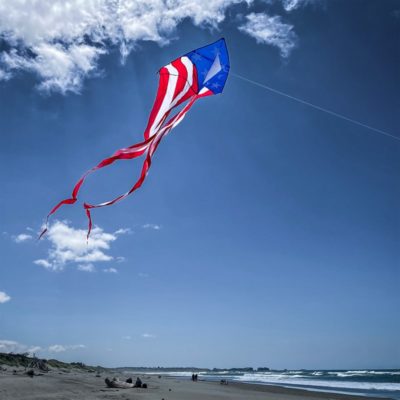 Flo-Tail Patriotic Delta Kite by In The Breeze