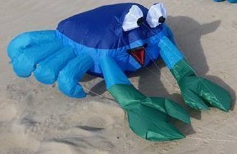 Bouncing Buddy "Billy the Crab" - Blue