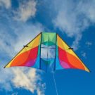 Rainbow Rocky Mountain DC Delta Kite by Into The Wind