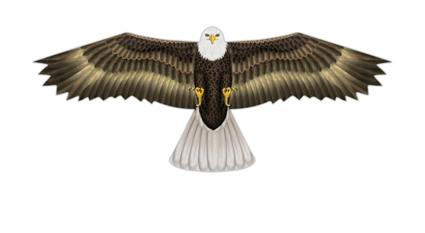 Eagle Supersize Bird Of Prey Kite - 70"