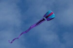 Prism Bora 5 Parafoil Kite - Frost