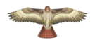 Hawk Birds Of Prey Kite - 48"