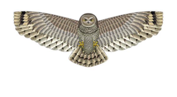 Owl Supersize Birds of Prey Kite - 67"