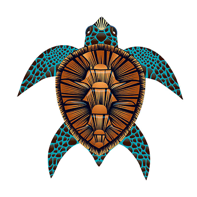 Sea Turtle DLX Kite - 40" - by Brainstorm
