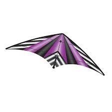 EZ Sport 70 Dual Line Stunt Kite - Purple Stripe