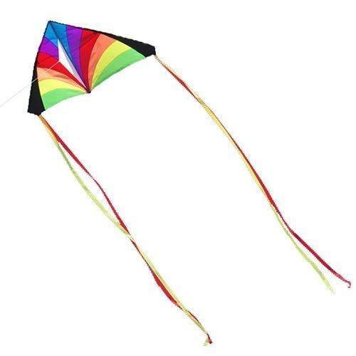 Rainbow Kids Delta Kite by Into The Wind - 52"