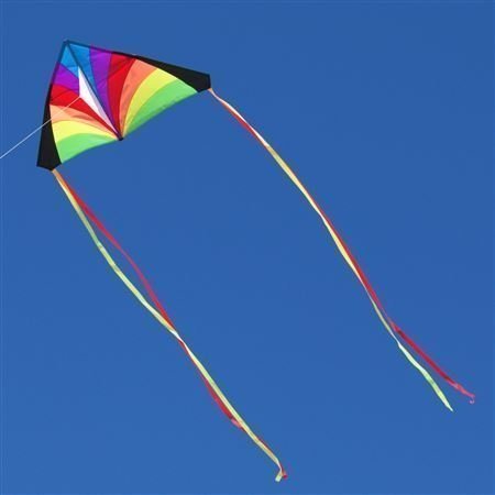Rainbow Kids Delta Kite by Into The Wind - 52"