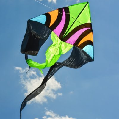 Dashiki 77" Wave Delta Kite by In The Breeze