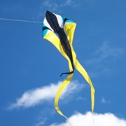 Zydeco 77" Wave Delta Kite by In The Breeze