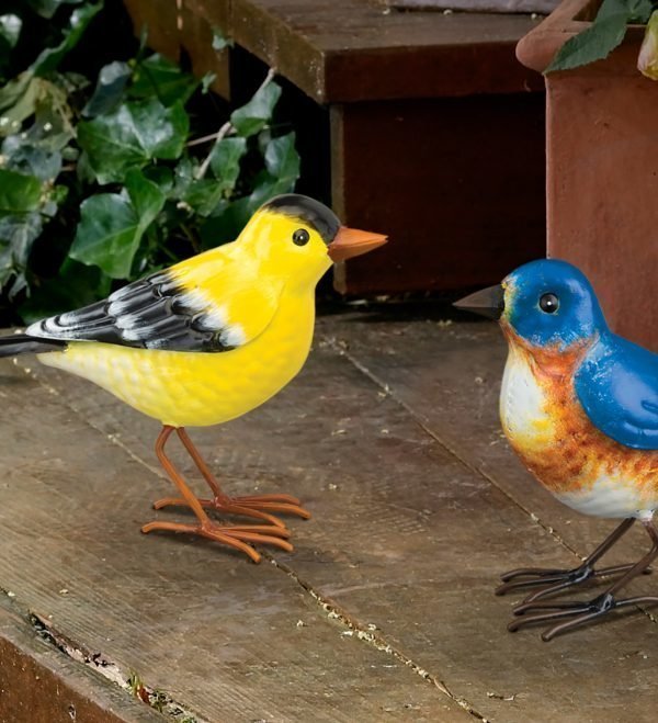 Songbird Decor - Goldfinch-127107