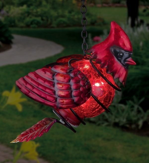 Bird Solar Lantern - Cardinal-127014