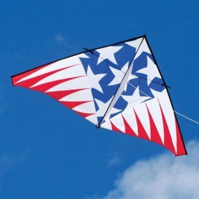 Into The Wind Highlighter 12' Delta Kite - USA