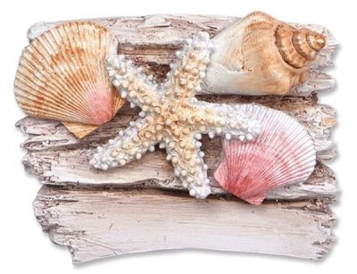 Shells on Driftwood - Resin Magnet by Cape Shore