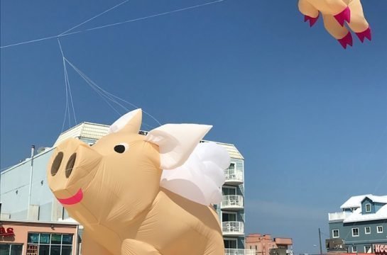 Pigs Flying Sunfest Kite Festival