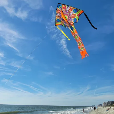 Mandala Large Easy Flier Delta Kite by Premier