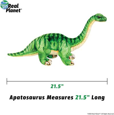Apatosaurus Realistic Soft Plush Dinosaur by Real Planet - Green 21.5"