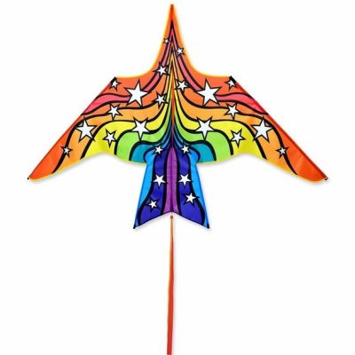 Rainbow Stars Thunderbird Kite by Premier