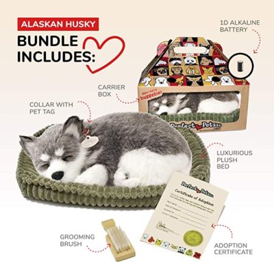 Perfect Petzzz Alaskan Husky
