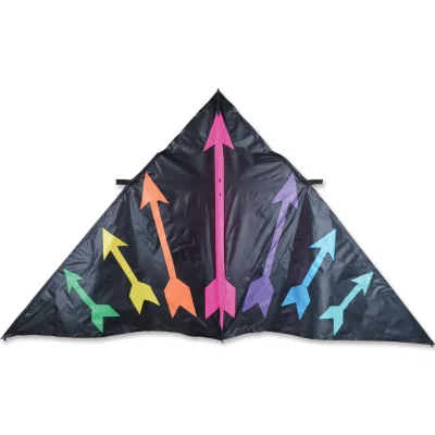 Rainbow Arrows 9 ft. Delta Kite by Premier