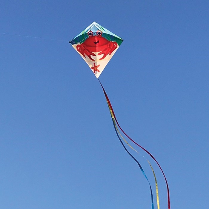 Crab Diamond Kite by In The Breeze - 30