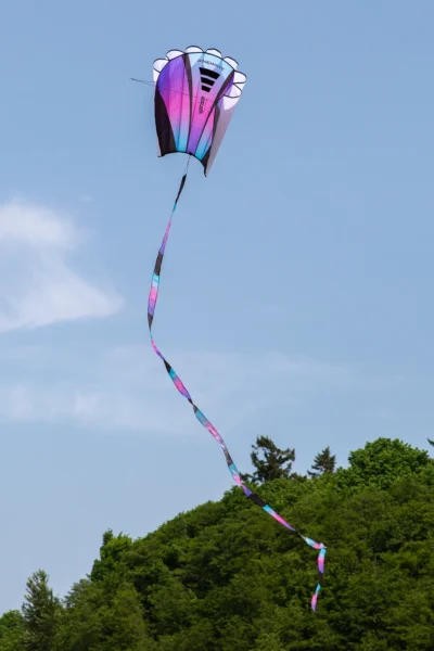 Sinewave Single Line Kite By Prism -Ultraviolet In The Air